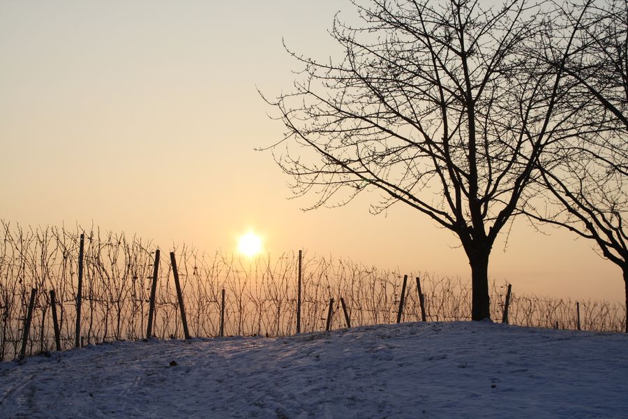 Sonne oder Stern?