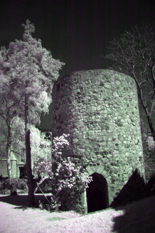 Burgreste und Wehrturm 2