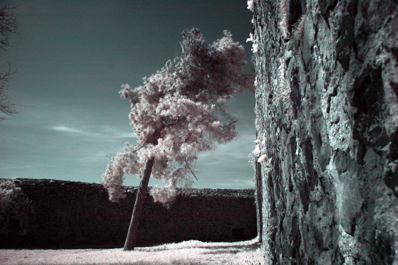 Burgreste und Wehrturm 4