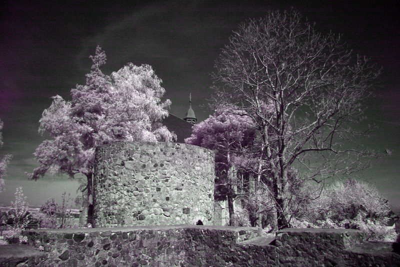Burgreste und Wehrturm 3