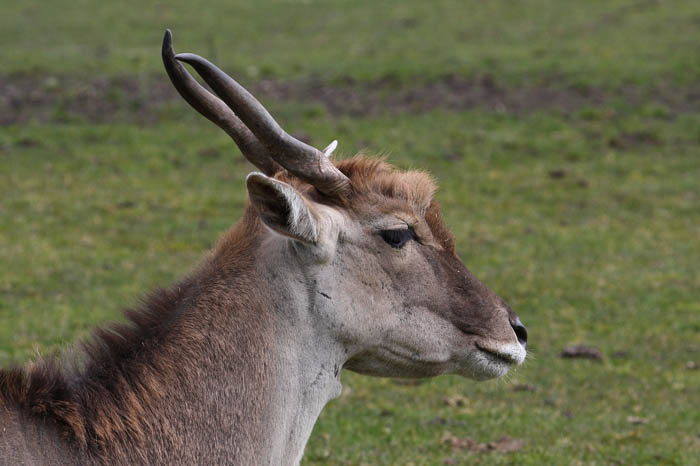 Der Blick ...