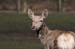 Rehe Park